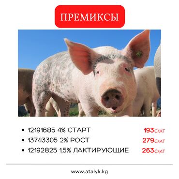 Корма для с/х животных: 4% Старт	193 сомов за 1 кг 2% Рост	279 сомов за 1 кг 1,5%