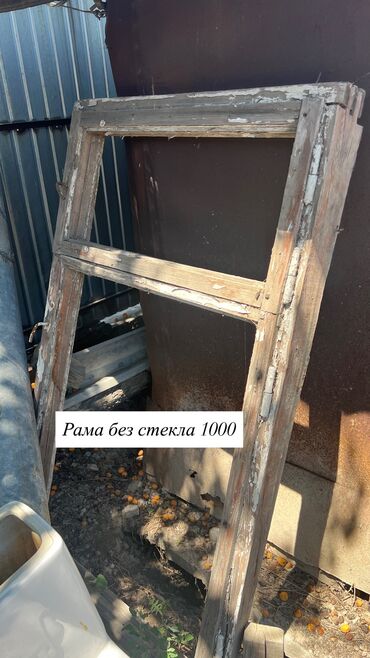 цветы для офиса: Продаю отдаю бесплатно Цены на фото Туалет бесплатно Подставки /