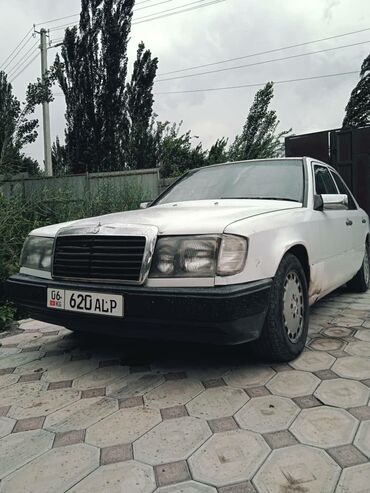 Mercedes-Benz: Mercedes-Benz W124: 1989 г., 2.5 л, Механика, Дизель