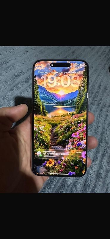 ıphone 11: IPhone 15 Pro Max, 256 GB, White Titanium — 6