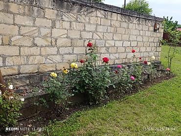 Uzunmüddətli kirayə evlər: 120 kv. m, 2 otaqlı, İnternet — 17