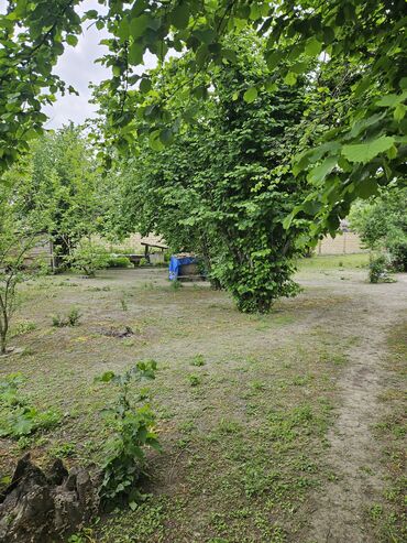 gəncədə satılan evlər: 5 sot, Tikinti, Kupça (Çıxarış)