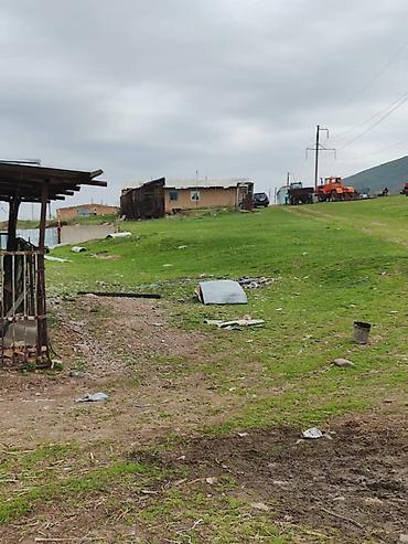 Товары и оборудование для с/х животных: Нужен скотник и доярка — 5