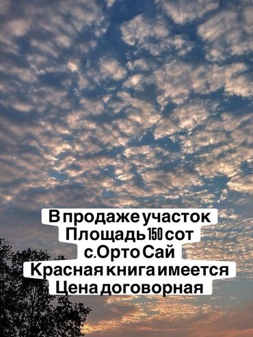 аренда частных домов: 150 соток, Бизнес үчүн, Кызыл китеп