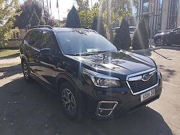 фары на субару: Subaru Forester: 2020 г., 2.5 л, Вариатор, Бензин, Кроссовер — 2