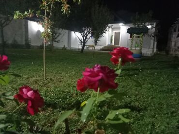 bine heyet evi: 5 otaqlı, 121 kv. m, Kredit yoxdur, Yeni təmirli