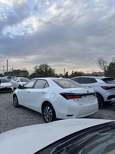 решотка на субару: Toyota Levin: 2019 г., 1.8 л, Автомат, Гибрид, Седан — 4