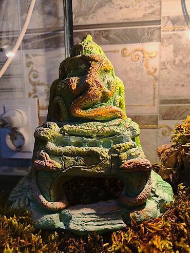 Зоотовары: 🌿 Украшения и декорации для аквариумов и террариумов 🌿 Продаю — 5