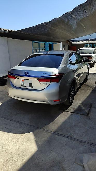 тайот: Toyota Levin: 2019 г., 1.8 л, Автомат, Гибрид, Седан — 1