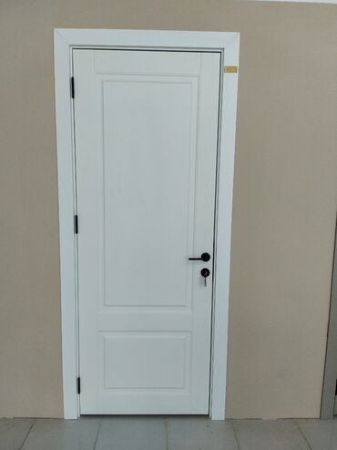 Boşqablar: Ağ rəngdə, müasir dizaynlı qapı. Bu qapı iki panelli dizayna malikdir