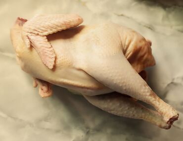 курица живая: Принимаю заказы на суповых домашних курочек и петухов содержание