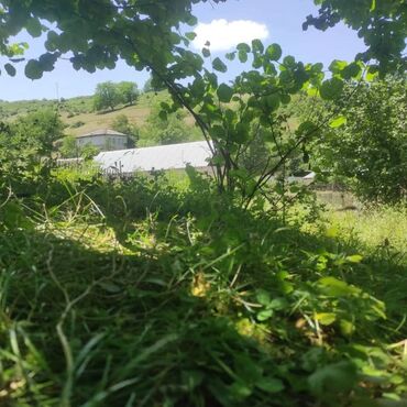 Torpaq sahələrinin satışı: 10 sot, Tikinti, Mülkiyyətçi, Kupça (Çıxarış) — 11