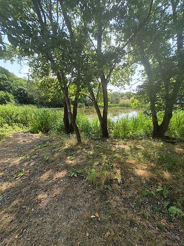 Torpaq sahələrinin satışı: 35 sot, Mülkiyyətçi, Kupça (Çıxarış) — 23