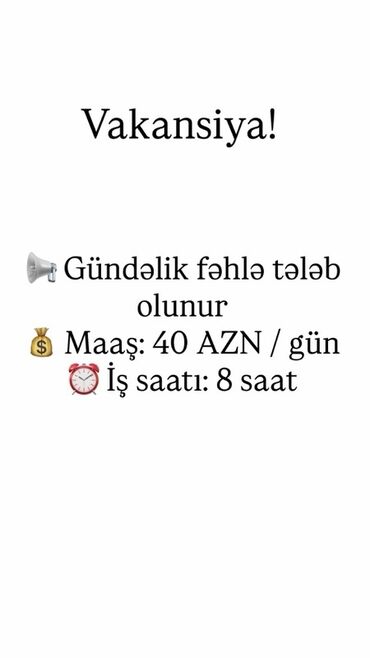 Такси, логистика, доставка: Gündəlik fəhlə vakansiyası mövcuddur. Təklif olunan maaş gündə 40 AZN