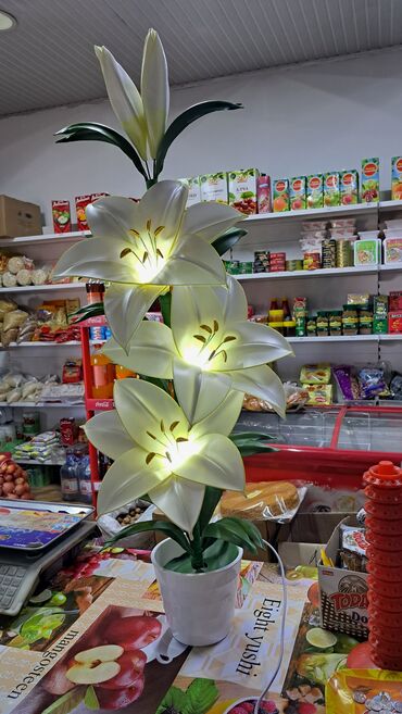 Другое: Другое — 6