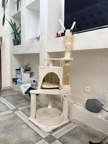 Игровой комплекс для кошек с домиком и когтеточками. Описание: -