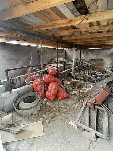 Продажа коттеджей и домов: СРОЧНО! Продается дом со всеми удобствами — р-н Чуйского РОВД at lalafo.kg — 18 Продажа коттеджей и домов: СРОЧНО! Продается дом со всеми удобствами — р-н Чуйского РОВД — 18