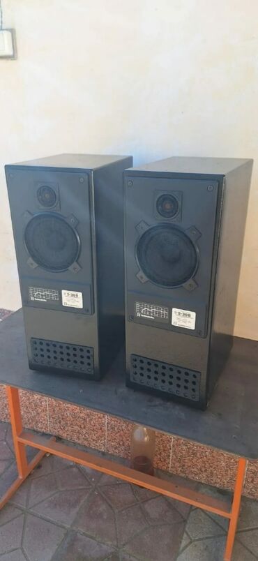 Dinamiklər və kolonkalar: Akustik sistem eksküliziv labirint qutuda sony dinamiklə və tviterlə — 4