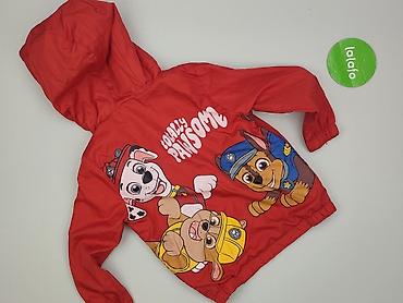 bluza atomowki: Kurtka przejściowa, Nickelodeon, 5-6 lat, 110-116 cm, stan - Bardzo dobry — 3