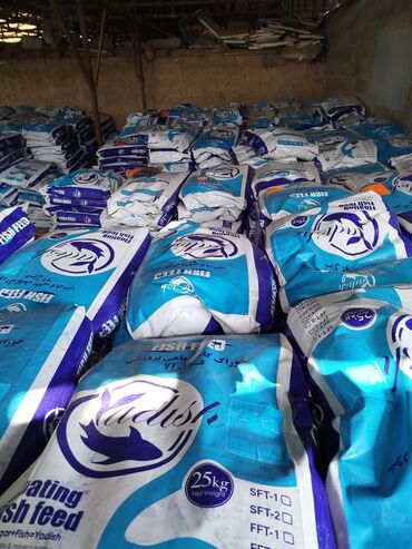 купить корм для перепелов несушек: Корм для форели, корм очень хорошего качества,Иранского производство