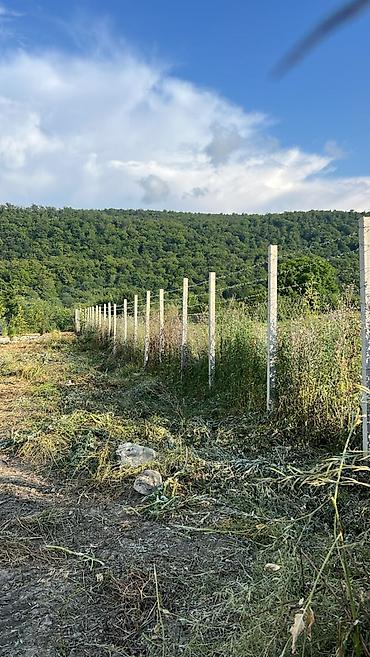 şəkidə torpaq: 13 sot, Biznes üçün, Makler, Kupça (Çıxarış) — 5