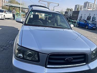 Subaru: Subaru Forester: 2004 г., Автомат, Бензин, Кроссовер — 10
