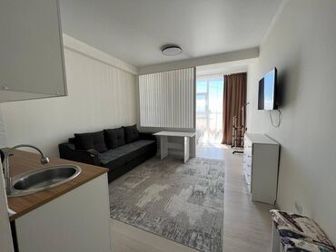 Продажа квартир: 1 комната, 28 м², 3 этаж, Евроремонт