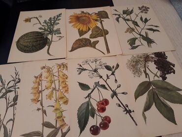 Açıqcalar: Советские открытки.Есть еще закладки для — 18