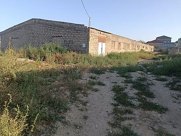 gen: Biznes üçün, Barter mümkündür, Kupça (Çıxarış) — 1