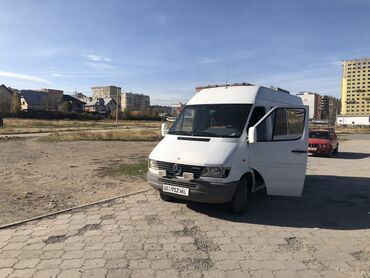 Mercedes-Benz Sprinter: 1997 г., 2.9 л, Механика, Дизель, Бус