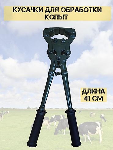 для крс: Кусачки для копыт Крс и Лошадей профессиональный Кусачки копытные, 42 — 3