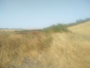 Qarajlar: 60 sot