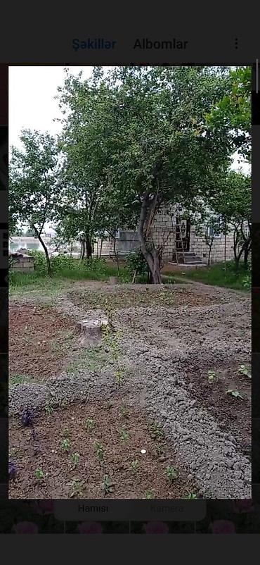 Torpaq sahələrinin satışı: 14 sot, Tikinti, Mülkiyyətçi, Kupça (Çıxarış) -da lalafo.az — 24 Torpaq sahələrinin satışı: 14 sot, Tikinti, Mülkiyyətçi, Kupça (Çıxarış) — 24