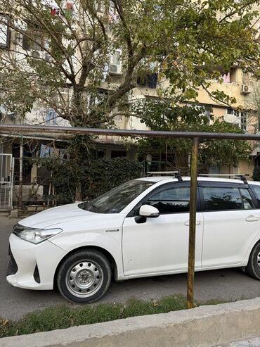 Toyota: Toyota Corolla Fielder Hybrid – ağ rəngli universaldır — 3