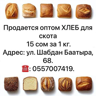 Корма для с/х животных: Продается оптом ХЛЕБ для скота за 1 кг. Адрес: ул. Шабдан Баатыра