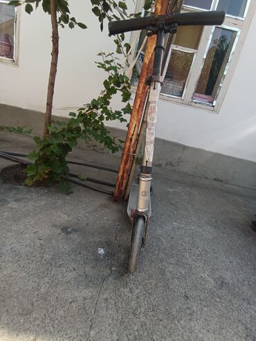 детский велосипед зубренок трехколесный: Самокат, Городской