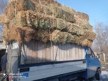 наклейки портер: Переезд, перевозка мебели, По городу, без грузчика