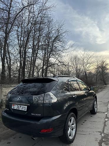 Lexus: Lexus RX: 2003 г., 3 л, Автомат, Газ, Кроссовер — 3