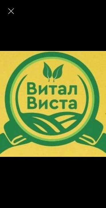 Требуется Торговый агент, График: Шестидневка, 1-2 года опыта, Карьерный рост, Полный рабочий день