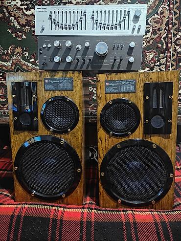 колонки на 210: Акустическая система Амфитон 150 АС 007. Усилитель TECHNICS 3500 — 1