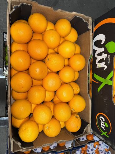 шоколадный букет цена: АПЕЛЬСИНЫ ( ORANGES ) ЦЕНА : ( ОПТОВАЯ ) ПРОИЗВОДСТВО: ЮАР ( SOUTH