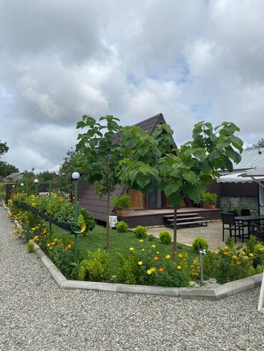 Bağ evlərinin satışı: Qəbələ, 40 kv. m, 3 otaqlı, Hovuzlu, İnternet, Telefon, Qaz — 3