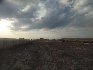 Torpaq sahələrinin satışı: 12 sot, Kupça (Çıxarış) — 11