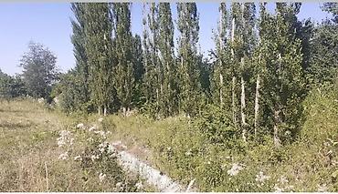 Torpaq: Tikinti — 2