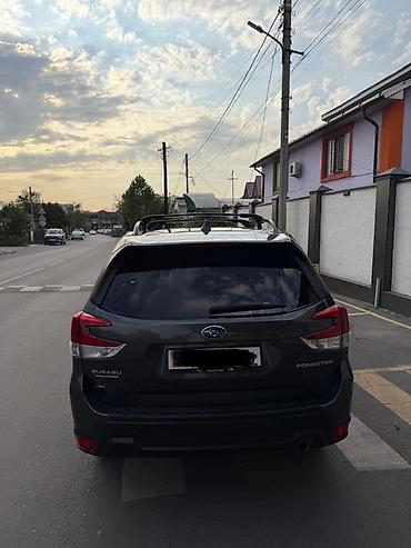 Subaru Forester: 2019 г., 2.5 л, Вариатор, Бензин, Кроссовер