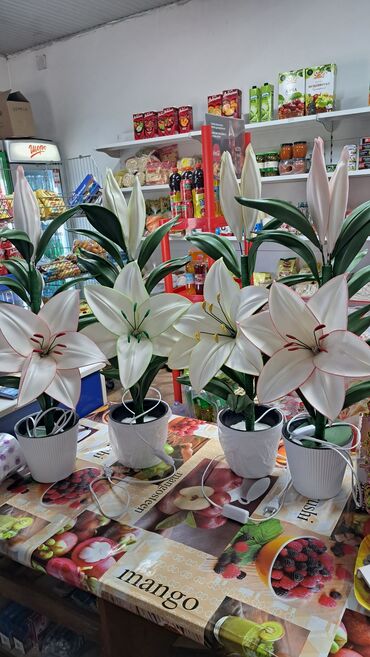 Другое: Другое — 4