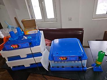 İnkubatorlar: 100 yumurta, Çin, Fabrik istehsalı, Tam avtomat, Bütün növ quşlaq üçün — 5