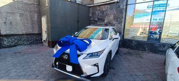 Организация мероприятий: Организация мероприятий | Гелевые шары, Аниматоры, Оформление мероприятий — 2