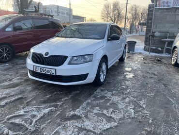 Транспорт: Skoda Octavia: 2015 г., 1.6 л, Типтроник, Бензин, Хетчбек