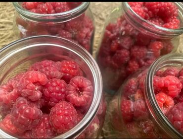 лазерный уровень цена бишкек: Продаю малину